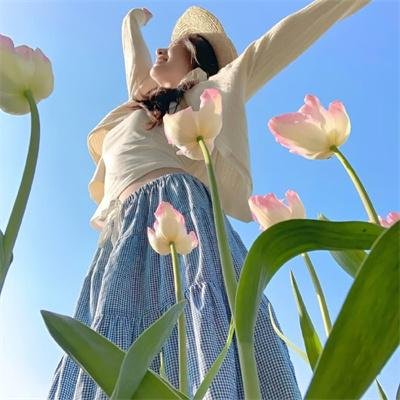 怪猫菲力兹